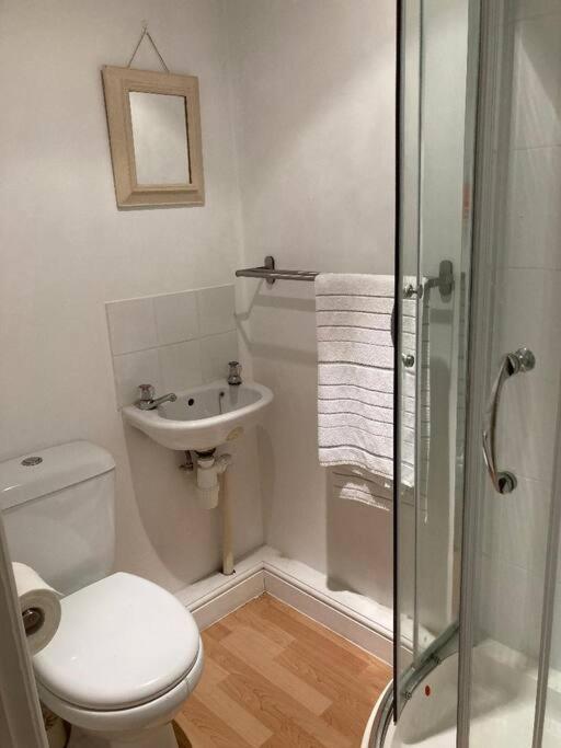 Studio Annexe With Separate Shower Room Broadhempston Екстериор снимка